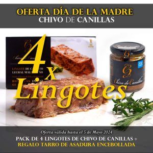 promo-chivo-DIA-DE-LA-MADRE-2024-lingotes